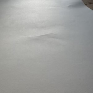 Evergreen Love - Limited Edition Print - Image 5