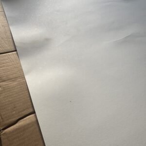 Evergreen Love - Limited Edition Print - Image 4